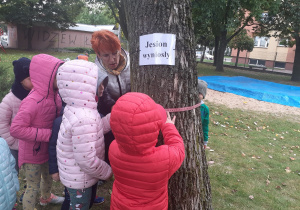 Pani Agnieszka z Krasnoludkami mierzy obwód drzewa o nazwie Jesion.